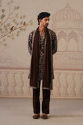 Nawab Rich Brown Embroidered Kurta Set with V-Neck Placket & Dupatta